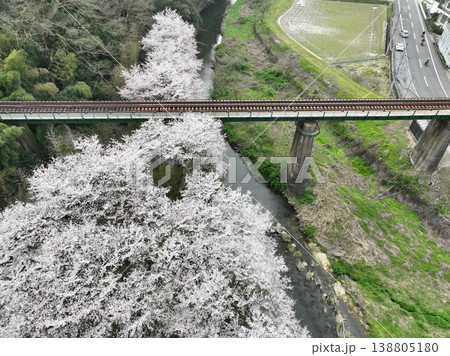 黒川橋りょうと桜 満開の春 曇天のしっとり風景 香川県三豊市 138805180
