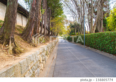 京都、東福寺の境内 京都、東福寺の境内 138805774
