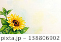 夏のひまわりのバナー素材（水彩・コピースペース・左配置の背景イラスト） 138806902