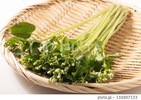 ［福島県産］花わさび 138807133