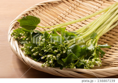 ［福島県産］花わさび 138807139