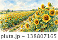 夏のひまわり畑の風景イラスト（水彩・青空・田園風景） 138807165