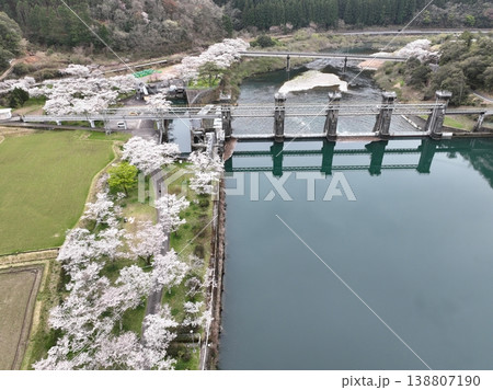 四万十川 家地川ダムと満開の桜 曇天のしっとり春風景 高知県 四万十川 家地川ダムと満開の桜 曇天のしっとり春風景 高知県 138807190