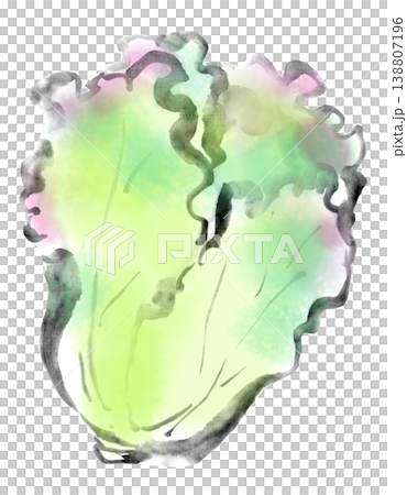 水墨插畫:陽光生菜 水墨插畫:陽光生菜 138807196