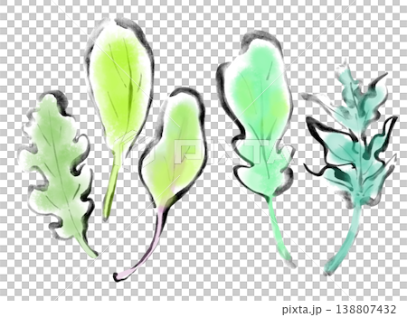Ink painting illustration, sumi-e (ink painting), baby leaf 138807432