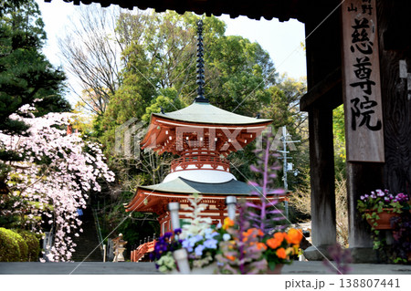慈尊院(多宝塔・山門)　【和歌山県九度山町】 138807441
