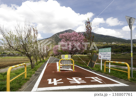 つくば霞ヶ浦りんりんロードと筑波山・桜が咲く春の風景・茨城県つくば市 つくば霞ヶ浦りんりんロードと筑波山・桜が咲く春の風景・茨城県つくば市 138807761