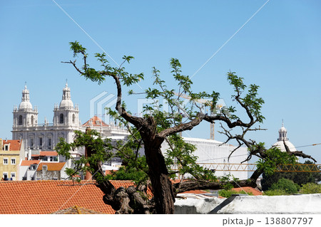 Historic Lisbon Old Town Panorama with Red Tiled Roofs, Portugal Historic Lisbon Old Town Panorama with Red Tiled Roofs, Portugal 138807797