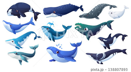 Cartoon whale animal characters of vector cute blue, grey and fin, sperm, humpback and bowhead whales, orca and beluga. Giant sea and ocean mammal animal characters spouting water with happy smiles 138807893