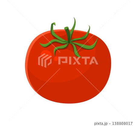 Thanksgiving holiday tomato harvest cartoon fall season object. Autumn tomato harvest, fall season isolated vector food. Happy Thanksgiving holiday object with ripe red tomato farm vegetable 138808017