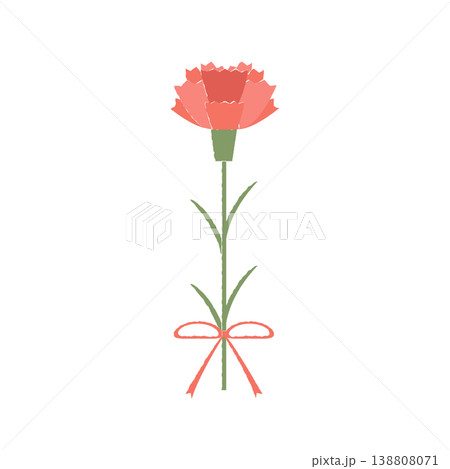 カーネーション 138808071