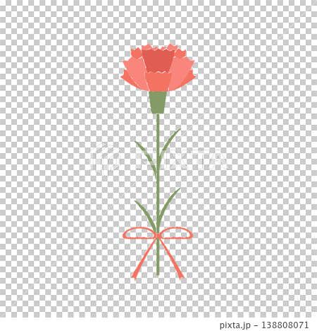 カーネーション 138808071