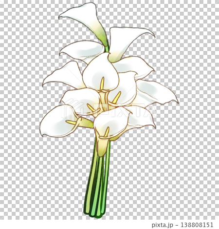 カラーの花束 カラーの花束 138808151