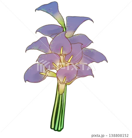 カラーの花束 138808152