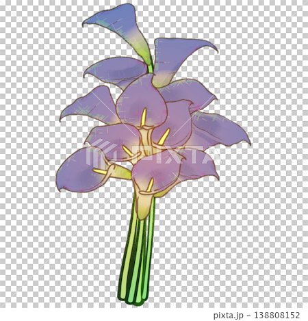 カラーの花束 138808152