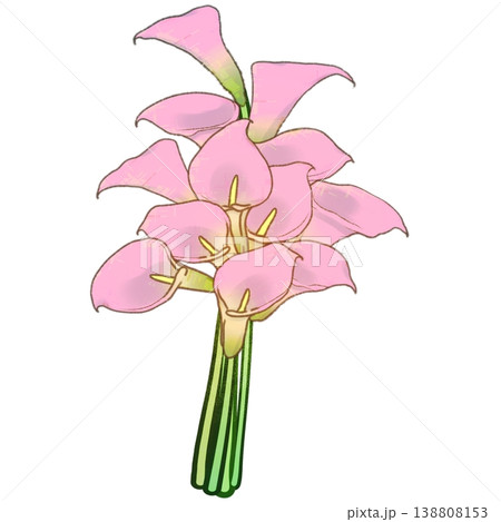 カラーの花束 138808153