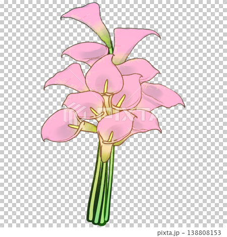 カラーの花束 138808153