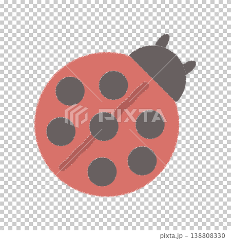 瓢蟲 138808330