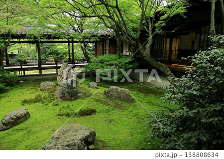 建仁寺にある方丈庭園の潮音庭 建仁寺にある方丈庭園の潮音庭 138808634
