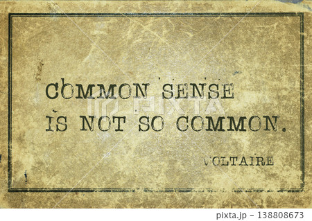common sense Voltaire 138808673