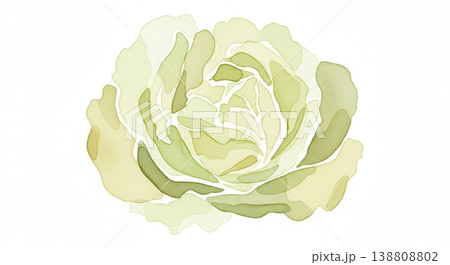 みずみずしく新鮮なレタスの淡い水彩イラスト 柔らかいタッチのナチュラル野菜素材 138808802