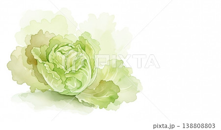 みずみずしく新鮮なレタスの淡い水彩イラスト 柔らかいタッチのナチュラル野菜素材 みずみずしく新鮮なレタスの淡い水彩イラスト 柔らかいタッチのナチュラル野菜素材 138808803