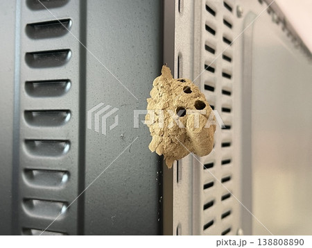 Close Up Of A Mud Wasp Nest Attached To Oven Metal Ventilation Close Up Of A Mud Wasp Nest Attached To Oven Metal Ventilation 138808890
