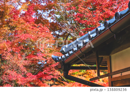 Nov 24 2025 Autumn Landscape Surrounding Historic Japanese Architecture, Genko an Temple 138809236