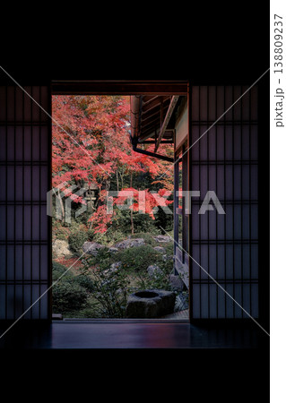 Nov 24 2025 Maple garden view framed by Genkoan temple window Nov 24 2025 Maple garden view framed by Genkoan temple window 138809237