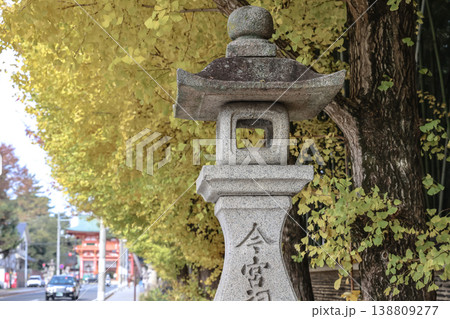 Nov 24 2025 Stone lantern framed by golden ginkgo trees at Imamiya Shrine 138809277