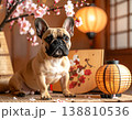 桜の花と提灯が飾られた和室でお座りするフレンチブルドッグ 138810536
