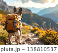 リュックを背負って夏山の登山道を歩くフレンチブルドッグ 138810537