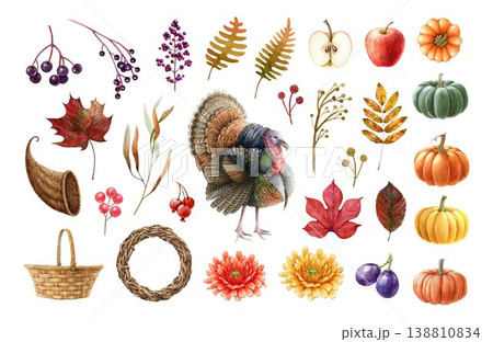 Thanksgiving clipart set with pumpkin leaves berries fruits turkey basket cornucopia wreath, thanksgiving clipart fall decor, card, harvest elements on white background watercolor illustration 138810834