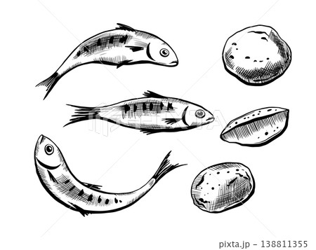 Sardine and potato set in minimalist black and white vector line art. Mediterranean fish and potato tuber ingredients for organic food packaging, healthy menu design and grocery retail graphics 138811355
