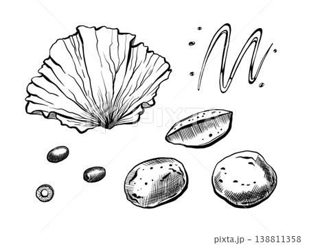 Potato and vegetable set in minimalist vector line art. Whole tubers, wedge, olives, lettuce and sauce drizzle for organic food packaging, healthy garnish menu and grocery retail graphics Potato and vegetable set in minimalist vector line art. Whole tubers, wedge, olives, lettuce and sauce drizzle for organic food packaging, healthy garnish menu and grocery retail graphics 138811358