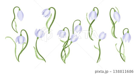 Snowdrop flowers set, hand drawn botanical elements, spring illustration, isolated on light background, floral clipart collection Snowdrop flowers set, hand drawn botanical elements, spring illustration, isolated on light background, floral clipart collection 138811686