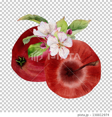 Hand painted watercolor red apples with apple blossom flowers and green leaves, botanical fruit composition with fresh ripe orchard harvest isolated on white background for packaging juices and jams Hand painted watercolor red apples with apple blossom flowers and green leaves, botanical fruit composition with fresh ripe orchard harvest isolated on white background for packaging juices and jams 138812974