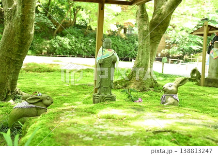 新緑に包まれる明月院の奥庭 138813247
