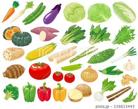 野菜のイラストセット 138813443