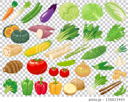 野菜のイラストセット 138813443