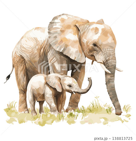 Addo Elephant Park. Addo Elephant Park hand drawn watercolor illustration on white background 138813725
