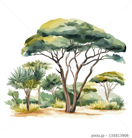 Day Forest National Park. Day Forest National Park hand drawn watercolor illustration on white background 138813906