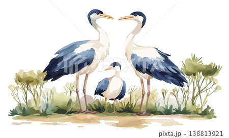 Djoudj National Bird Sanctuary. Djoudj National Bird Sanctuary hand drawn watercolor illustration on white background 138813921