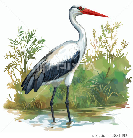 Djoudj National Bird Sanctuary. Djoudj National Bird Sanctuary hand drawn watercolor illustration on white background Djoudj National Bird Sanctuary. Djoudj National Bird Sanctuary hand drawn watercolor illustration on white background 138813923
