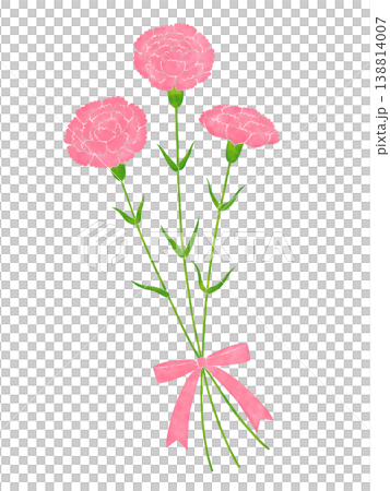 ピンク色のカーネーションの花束 138814007