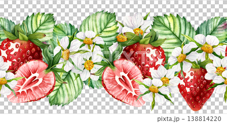 Watercolor seamless strawberry border with flowers and leaves hand painted botanical fruit pattern isolated on white decorative garden ribbon clipart for packaging labels and textile design Watercolor seamless strawberry border with flowers and leaves hand painted botanical fruit pattern isolated on white decorative garden ribbon clipart for packaging labels and textile design 138814220