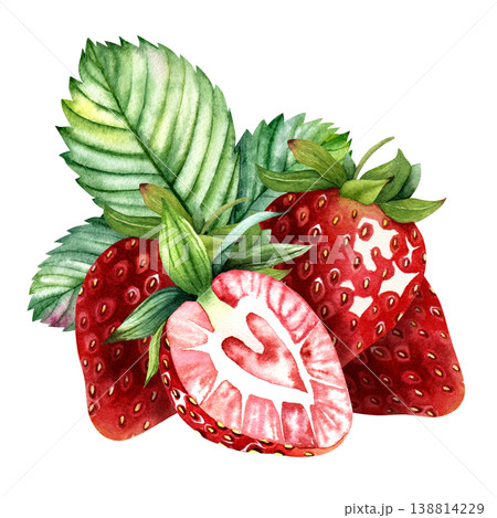 Watercolor strawberries with slice and green leaves composition, hand painted ripe berry botanical arrangement isolated on white background, fresh fruit clipart for packaging labels and food design Watercolor strawberries with slice and green leaves composition, hand painted ripe berry botanical arrangement isolated on white background, fresh fruit clipart for packaging labels and food design 138814229