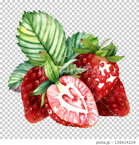 Watercolor strawberries with slice and green leaves composition, hand painted ripe berry botanical arrangement isolated on white background, fresh fruit clipart for packaging labels and food design Watercolor strawberries with slice and green leaves composition, hand painted ripe berry botanical arrangement isolated on white background, fresh fruit clipart for packaging labels and food design 138814229