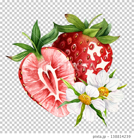 Watercolor strawberry with slice and flowers composition, hand painted ripe berry with blossom isolated on white background, romantic botanical fruit clipart for packaging, labels and food design Watercolor strawberry with slice and flowers composition, hand painted ripe berry with blossom isolated on white background, romantic botanical fruit clipart for packaging, labels and food design 138814239