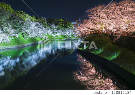 春の東京・千鳥ヶ淵 ライトアップされた桜の絶景【東京都・千代田区】 春の東京・千鳥ヶ淵 ライトアップされた桜の絶景【東京都・千代田区】 138815184
